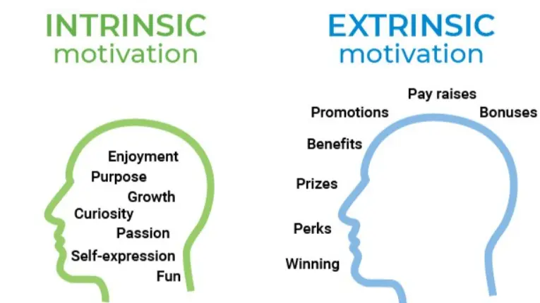 Intrinsic and extrinsic motivation difference